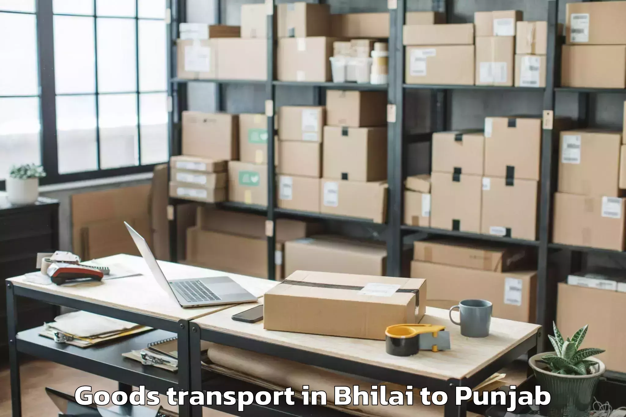 Trusted Bhilai to Pathankot Goods Transport